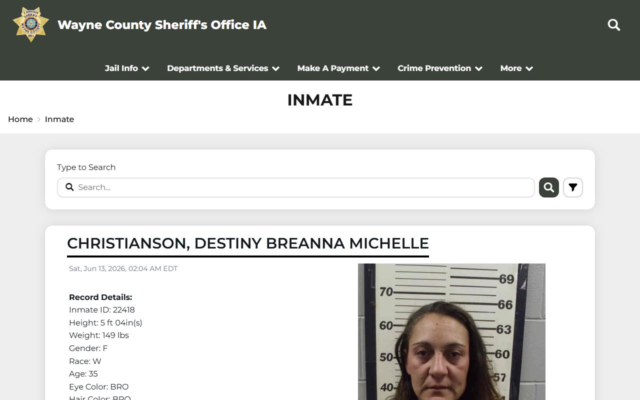 Wayne County inmate population roster with mugshots and VINE buttons
