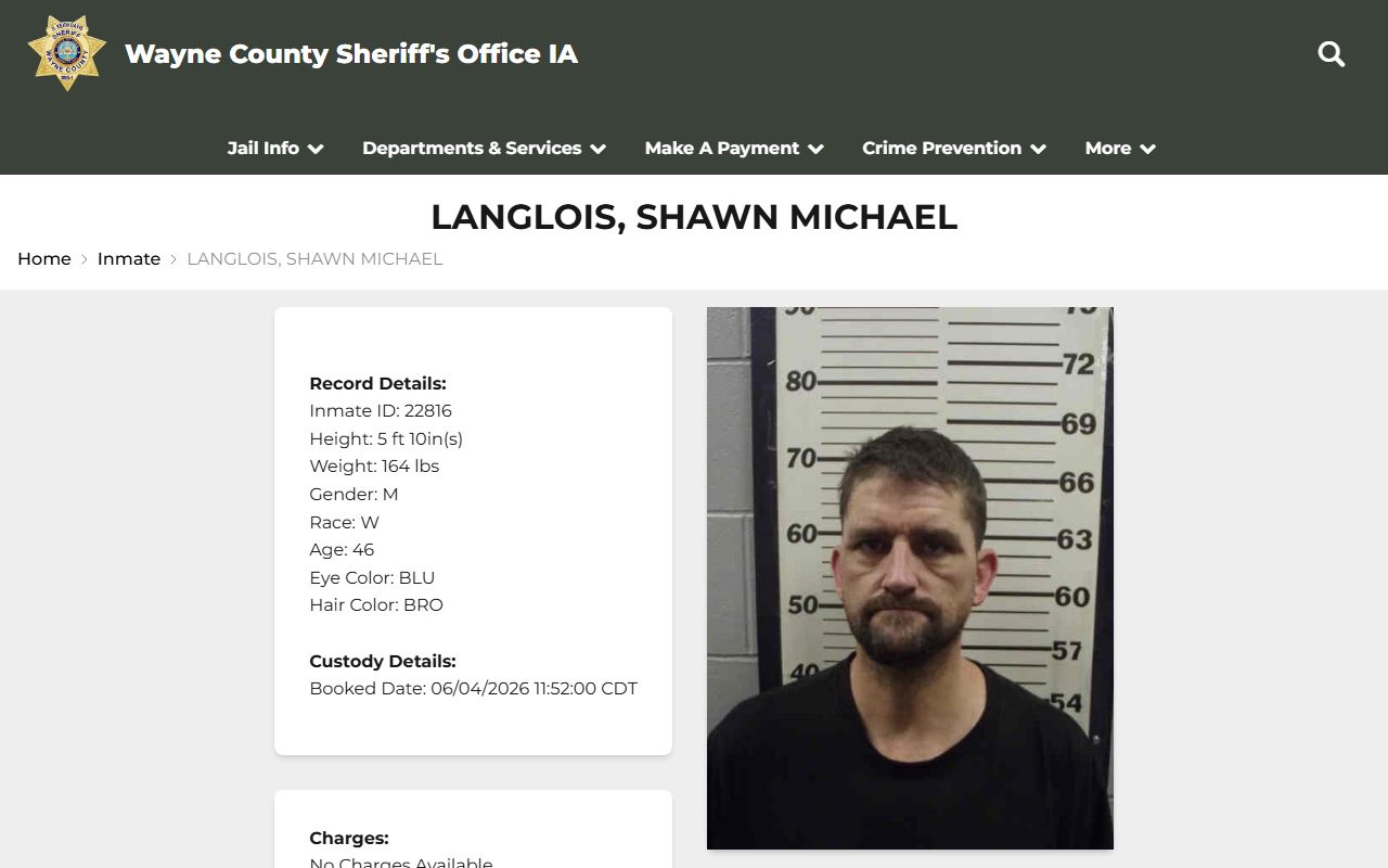 Wayne County inmate profile record with booking photo and custody details
